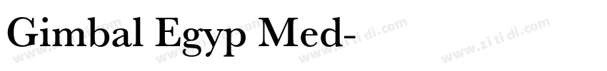 Gimbal Egyp Med字体转换